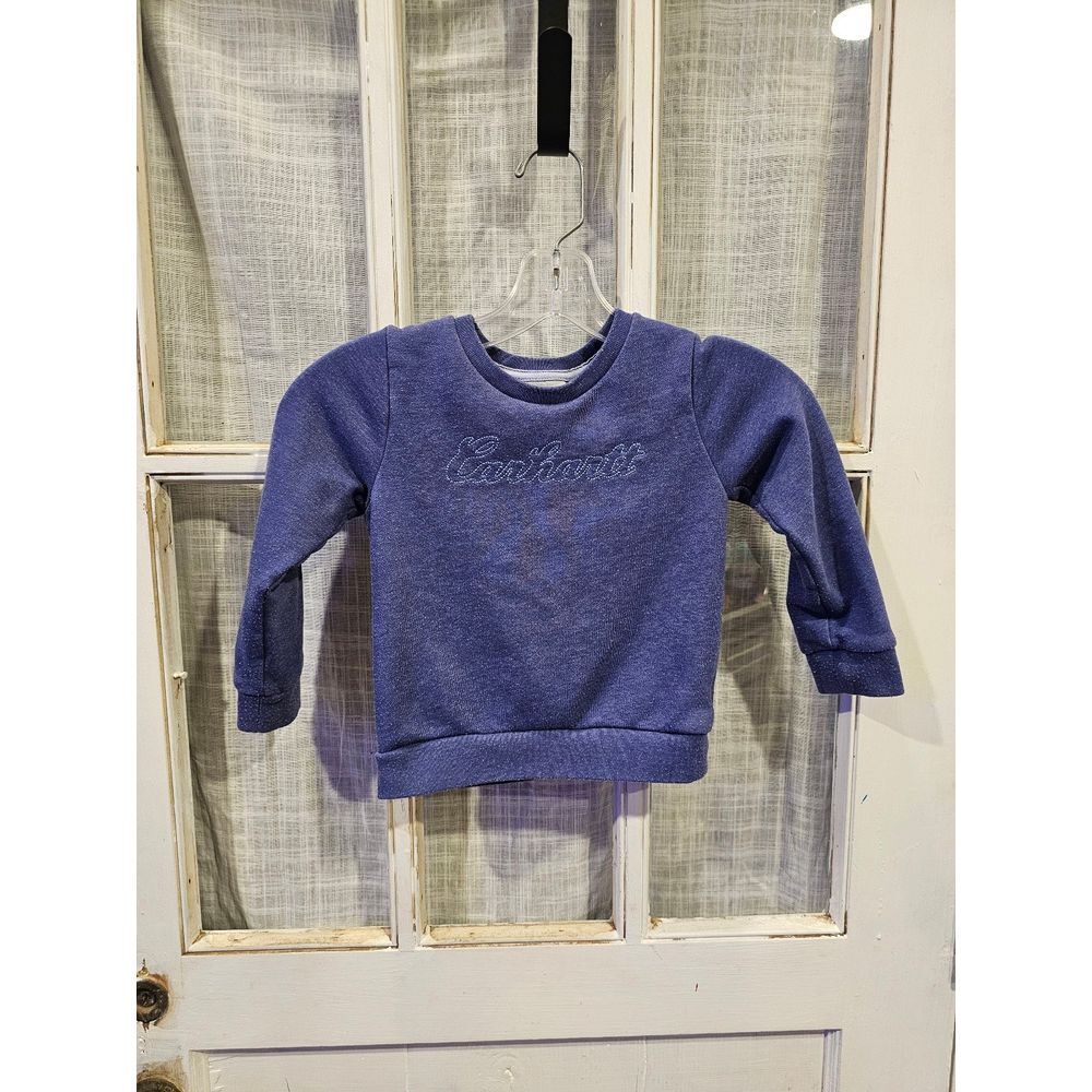 Carhartt Toddler Size 3 Blue Sweatshirt Pullover